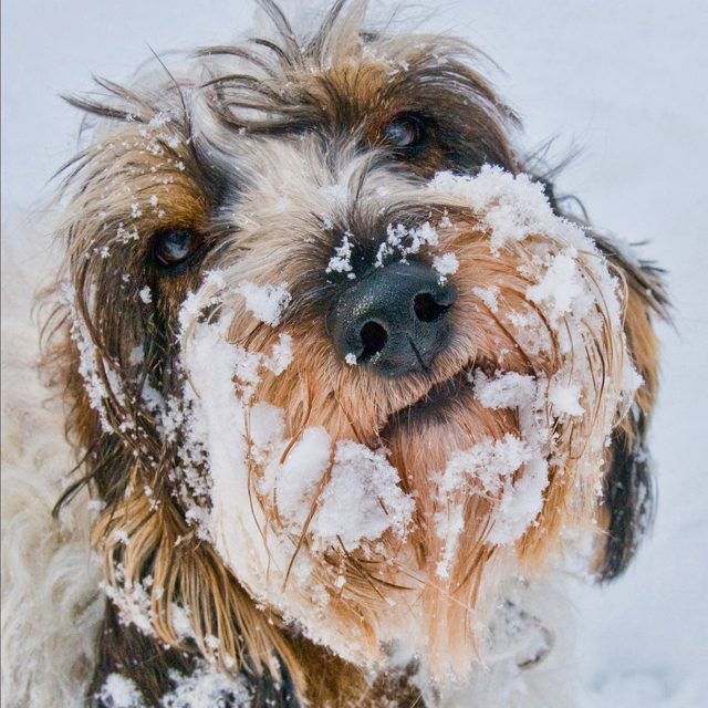 Read our rescue success stories.